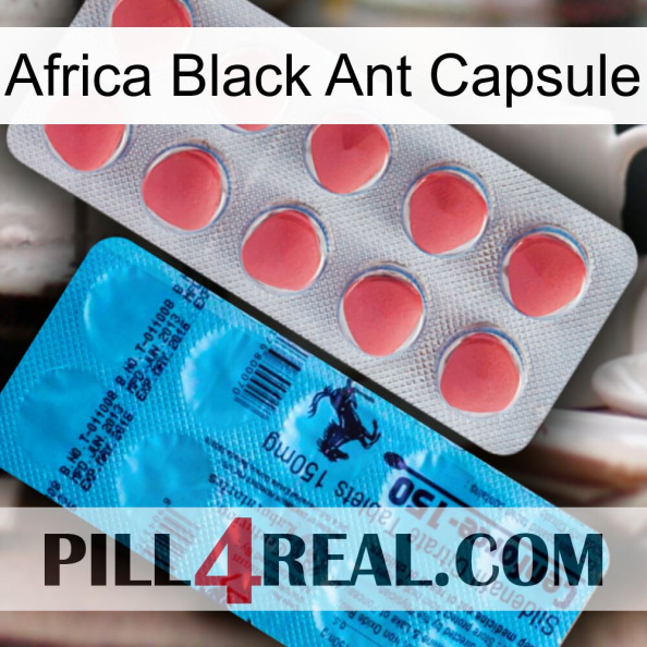 Africa Black Ant Capsule new14.jpg